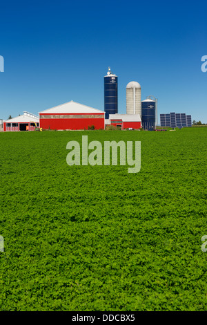 Pannelli solari e silos con red granai su un campo di fattoria piantati con fagioli di soia e cielo blu chiaro Ontario Canada Foto Stock