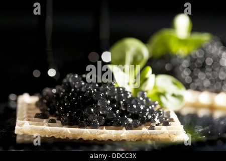 Panini con caviale nero su sfondo nero Foto Stock