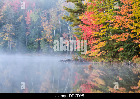 Un basso autunno la nebbia si deposita sul lago silenzioso in silenziosa Lake Provincial Park, Ontario, Canada. Foto Stock