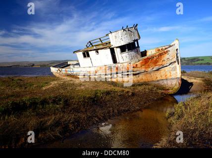 Il punto Reyes abbandonato naufragio lungo la riva di Tomales Bay Point Reyes National Seashore California Foto Stock