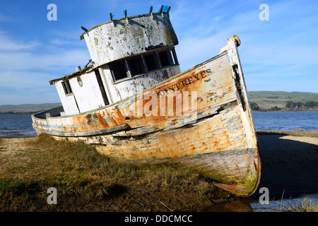 Il punto Reyes abbandonato naufragio lungo la riva di Tomales Bay Point Reyes National Seashore California Foto Stock