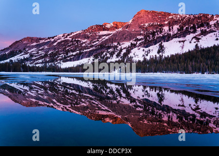 Alpenglow oltre il Lago Tenaya - Parco Nazionale di Yosemite in California Foto Stock