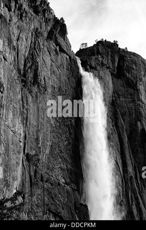 Superiore di Yosemite Falls wispy aspetto cascate Yosemite National Park icona iconica immagine in bianco e nero Foto Stock