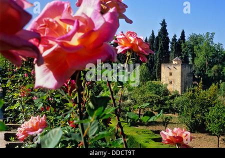 El Generalife.Giardini Generalife. Torre di principesse (Torre de las infantas). Alhambra. Granada. Andalusia. Spagna Foto Stock