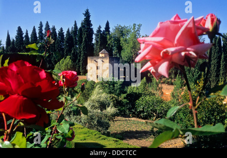 El Generalife.Giardini Generalife. Torre di principesse (Torre de las infantas). Alhambra. Granada. Andalusia. Spagna Foto Stock