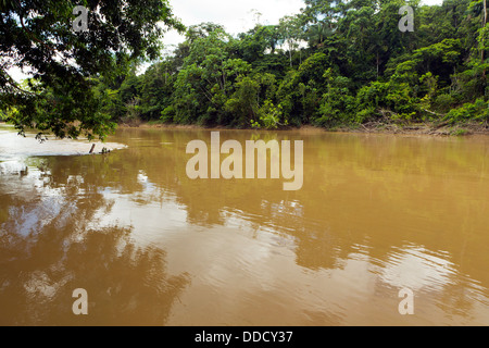 Il Rio Cononaco, nel profondo dell'Amazzonia ecuadoriana Foto Stock