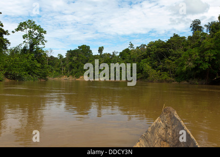 La deriva verso il basso il Rio Cononaco, nel profondo dell'Amazzonia ecuadoriana in una piroga Foto Stock