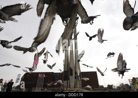 Gdansk, Polonia 31st, Agosto 2013 Solidarietà Square, caduti i lavoratori del cantiere un monumento in Gdansk. 800 carrier-piccioni flyies da Danzica a Varsavia per onore di Danzica accordi di agosto anniversario. Credito: Michal Fludra/Alamy Live News Foto Stock