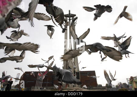 Gdansk, Polonia 31st, Agosto 2013 Solidarietà Square, caduti i lavoratori del cantiere un monumento in Gdansk. 800 carrier-piccioni flyies da Danzica a Varsavia per onore di Danzica accordi di agosto anniversario. Credito: Michal Fludra/Alamy Live News Foto Stock