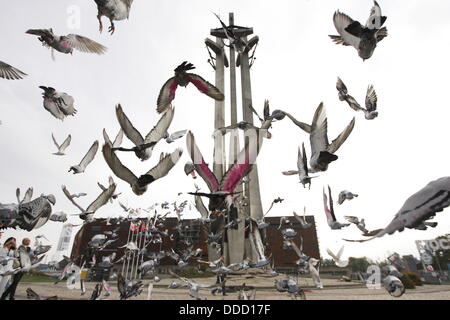 Gdansk, Polonia 31st, Agosto 2013 Solidarietà Square, caduti i lavoratori del cantiere un monumento in Gdansk. 800 carrier-piccioni flyies da Danzica a Varsavia per onore di Danzica accordi di agosto anniversario. Credito: Michal Fludra/Alamy Live News Foto Stock