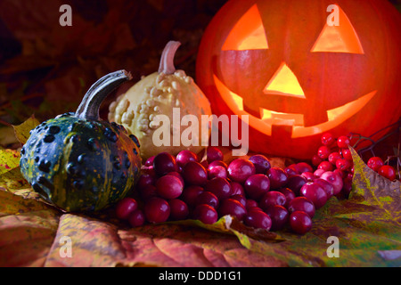 Still-life con zucche e cranberry su foglie di giallo Foto Stock