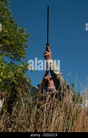 Il tiro al piccione da un mimetizzata net nascondere in estate Foto Stock
