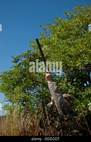 Il tiro al piccione da un mimetizzata net nascondere in estate Foto Stock