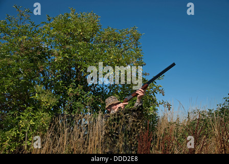 Il tiro al piccione da un mimetizzata net nascondere in estate Foto Stock