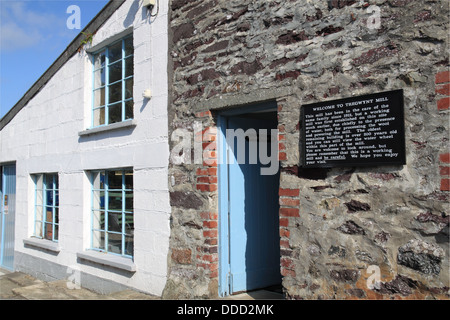 Melin Tregwynt lanificio, nr Abermawr, Pembrokeshire, il Galles, la Gran Bretagna, Regno Unito, Gran Bretagna, Europa Foto Stock