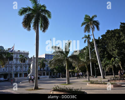 Alte palme torre sulla Plaza de Armas in Avana, Cuba. Foto Stock