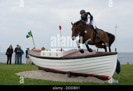 Malmo, Svezia. 31 Agosto, 2013. Il tedesco eventer Ingrid Klimke corre sul suo cavallo Escada durante il cross country concorrenza della Comunità Eventing Championships di Malmo, Svezia, 31 agosto 2013. Foto: JOCHEN LUEBKE/dpa/Alamy Live News Foto Stock