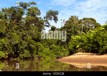 Fiume amazzonico, il Rio Cononaco in Ecuador Foto Stock