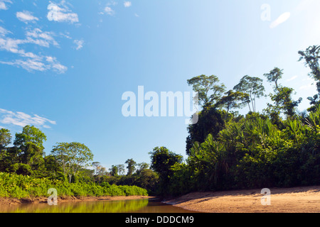 Fiume amazzonico, il Rio Cononaco in Ecuador Foto Stock