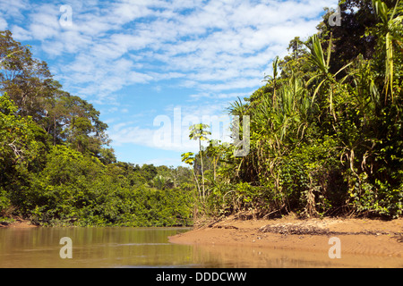 Fiume amazzonico, il Rio Cononaco in Ecuador Foto Stock