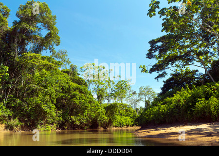 Fiume amazzonico, il Rio Cononaco in Ecuador Foto Stock