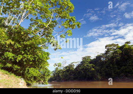 Fiume amazzonico, il Rio Cononaco in Ecuador Foto Stock