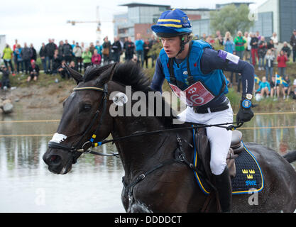 Malmo, Svezia. 31 Agosto, 2013. Svedese Ludwig eventer Svennerstal corre sul suo cavallo Shamwari durante il cross country concorrenza della Comunità Eventing Championships di Malmo, Svezia, 31 agosto 2013. Foto: JOCHEN LUEBKE/dpa/Alamy Live News Foto Stock