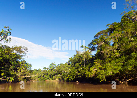 Fiume amazzonico, il Rio Cononaco in Ecuador Foto Stock