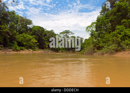 Fiume amazzonico, il Rio Cononaco in Ecuador Foto Stock