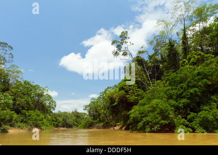 Fiume amazzonico, il Rio Cononaco in Ecuador Foto Stock