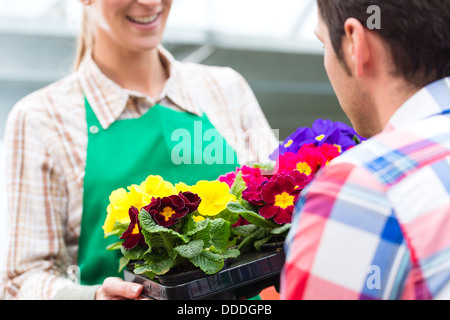 Fioristi o giardinieri in negozio di fiori, serra o vivaio Foto Stock