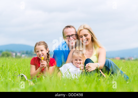 La famiglia felice del padre, madre e figli o figlie e sorelle o fratelli seduti all'aperto sul prato Foto Stock