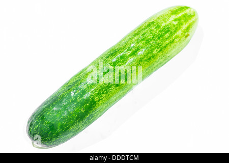 Il cetriolo su sfondo bianco Foto Stock