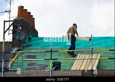 Builder a lavorare sul tetto della casa d'epoca nella città di York North Yorkshire England Regno Unito Foto Stock