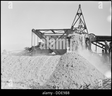 Questa fotografia mostra un scavatore di fossati al lavoro nel campo di internamento del Poston in Arizona durante la seconda guerra mondiale. Il campo, uno dei tanti negli Stati Uniti, deteneva giapponesi americani che furono trasferiti con la forza durante la guerra. Foto Stock