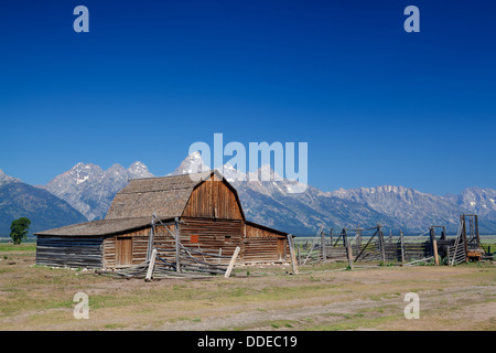 L'iconico John Moulton homestead in Grand Teton in Wyoming negli Stati Uniti Foto Stock