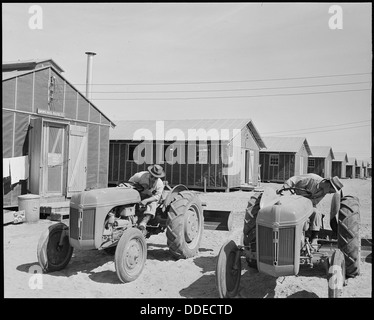 Questa fotografia mostra Tom Nishemaru e Tom Enomoto che ispezionano i trattori appena arrivati al campo di internamento di Poston in Arizona. L'immagine cattura il loro coinvolgimento nell'amministrazione e nella gestione delle attrezzature agricole durante la seconda guerra mondiale Foto Stock