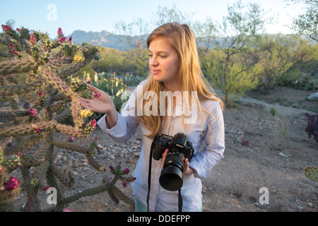 Fotografo nel deserto, Tucson AZ Foto Stock