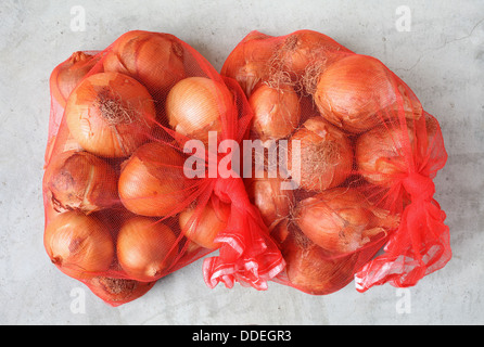 Cipolle fresche in un rosso rete in plastica su sfondo grigio Foto Stock