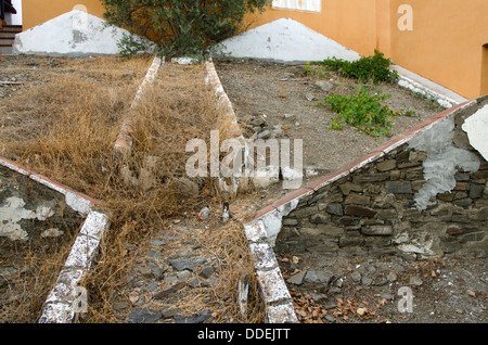 Il vecchio letto per sole-asciugando le raccolte a mano uve destinate alla produzione di uva passa in Axarquia, Spagna. Foto Stock