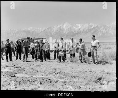 Manzanar Relocation Center, Manzanar, California. Fattoria di equipaggio che Johnny Fukazawa è caposquadra. T . . . 538049 Foto Stock