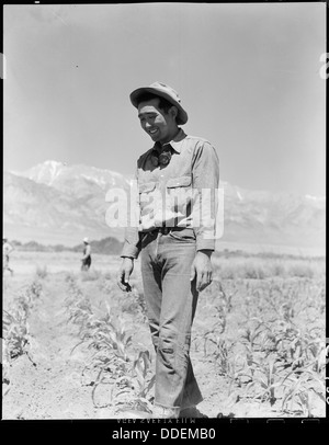 Manzanar Relocation Center, Manzanar, California. Johnny Fukazawa, caporeparto di campi 3, 4, 5 e 6 . . . 538047 Foto Stock