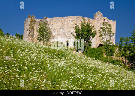 Slunj fortezza vecchia rovina nel verde della natura, Croazia Foto Stock