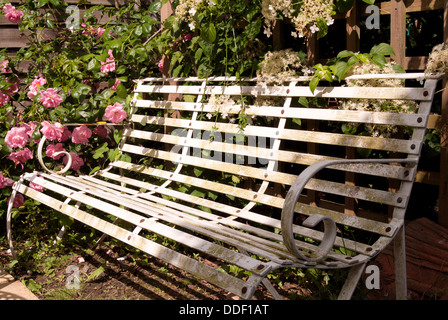 Banco di bianco in un giardino di rose nel Sussex Foto Stock