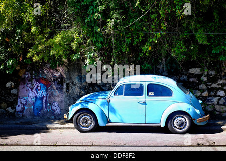 Fusca tradizionali automobili (brasilian VW maggiolini) Foto Stock