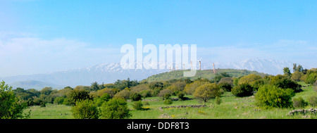 Vista panoramica delle alture del Golan, Israele Foto Stock