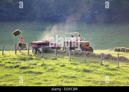 Imballatura di fieno, trattore raccolta e rendendo il fieno in una fattoria in Francia Foto Stock
