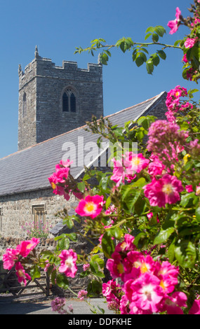 Llanenengan St Engan la chiesa con fiori di colore rosa in primo piano Nea Abersoch Llŷn Peninsula Gwynedd North Wales UK Foto Stock