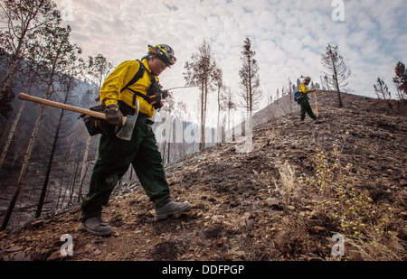 Pianure meridionali e Comanche wildfire attacco iniziale equipaggi cercare gli hotspot di radici o struttura sepolta arti durante le operazioni di estinzione al Beaver Creek Fire Agosto 21, 2013 a ovest di HAILEY, ID. Foto Stock