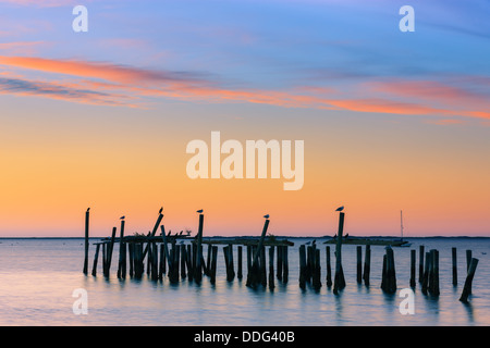 Sunrise sopra il vecchio jety in a Provincetown a nord di Cape Cod, Massachusetts Foto Stock